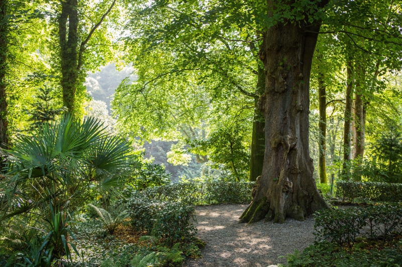 Plas Cadnant Hidden Gardens